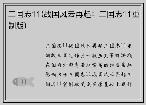 三国志11(战国风云再起：三国志11重制版)